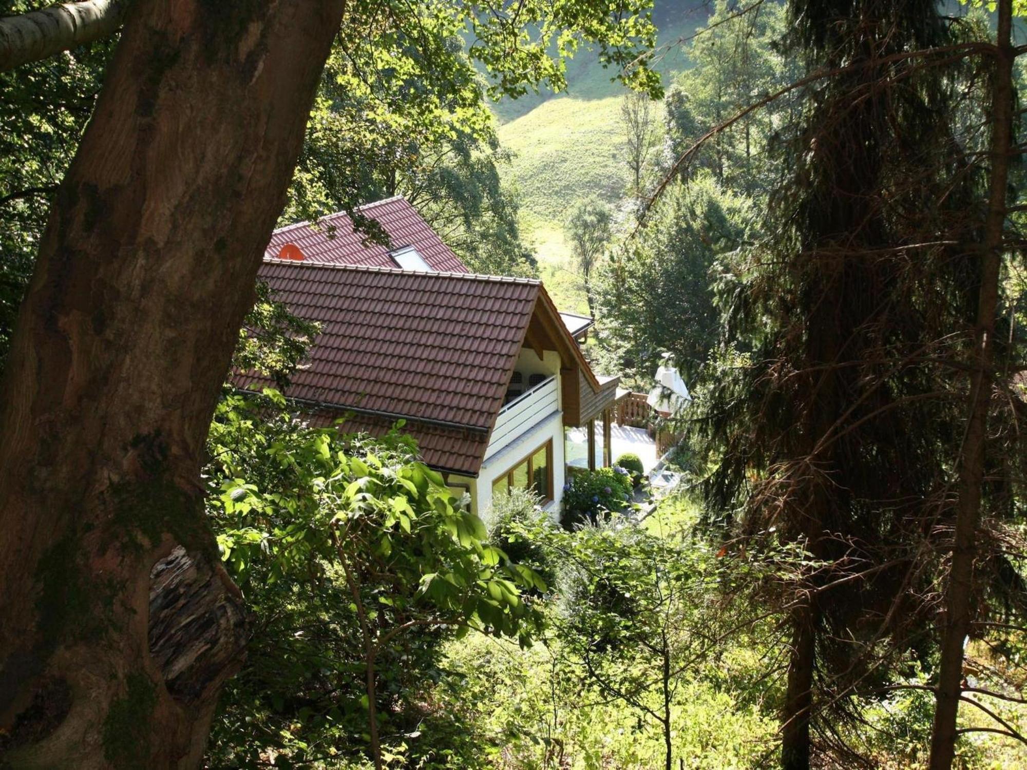 Apartment Haus Am Berg Lonau Esterno foto
